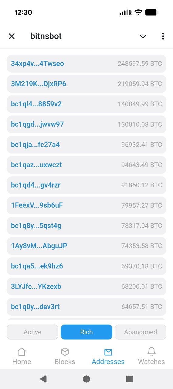 Mini App: the richest addresses