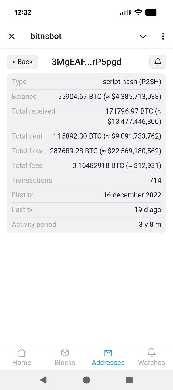 Mini App: an address's statistics